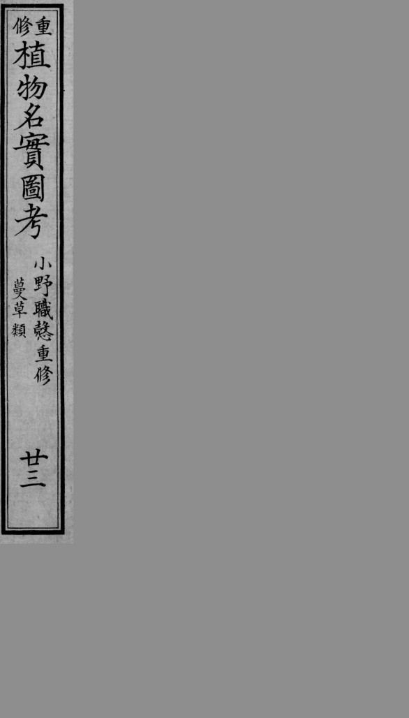 植物名实图考  23